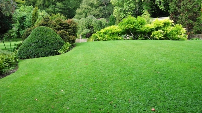 ﻿3 étapes essentielles pour réussir son aménagement de jardin