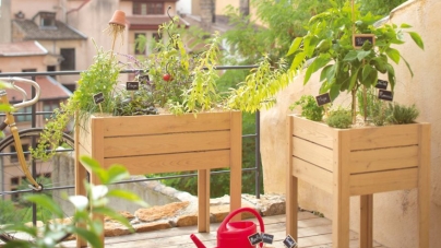 Les plantes idéales pour votre balcon