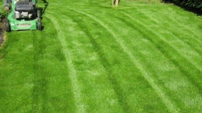 Bien entretenir son jardin, ça s’apprend !