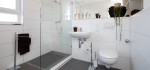Effectuer la rénovation de ses toilettes
