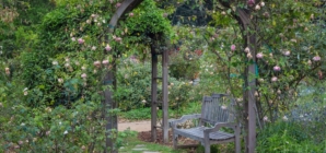 Treillis de Jardin : Notre Guide d’Installation