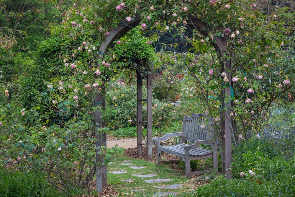 Treillis jardin et terrasse pas cher, Treillage