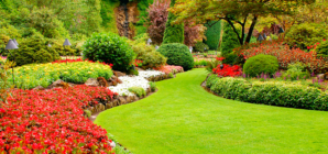 Quelques conseils pour aménager son jardin à Strasbourg