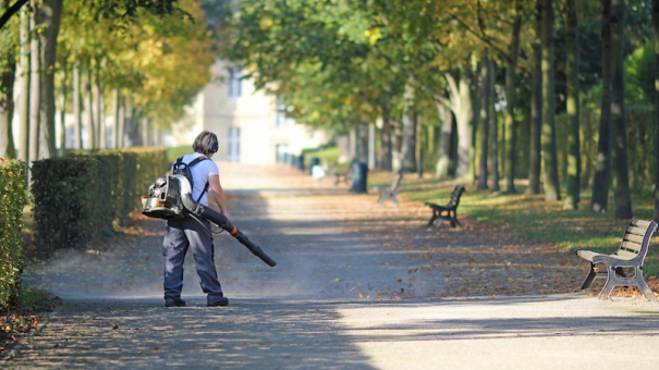 Comment choisir son souffleur de feuilles ?