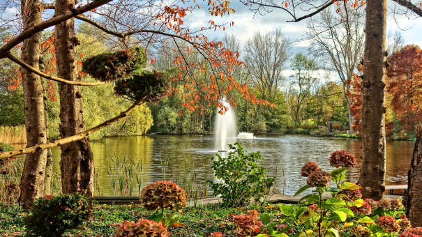 Quelles sont les astuces pour avoir un jardin de rêve ?