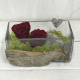 Idée déco : la rose éternelle