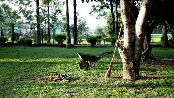 Comment protéger son jardin en hiver ?