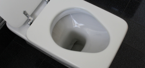 Choisir une toilette selon ses besoins