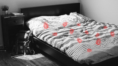Comment se débarrasser des punaises de lit à la maison ?