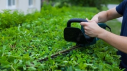 Quels sont les avantages d’un taille haie électrique ?