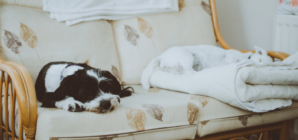 Comment améliorer la qualité d’air dans une maison ?