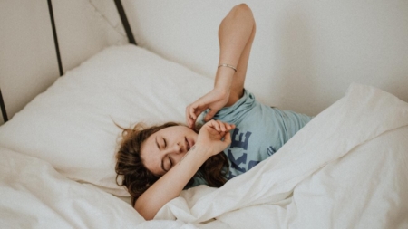 Punaises de lit à Paris : d’où viennent-elles ?