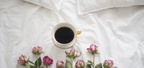 Comment trouver des linges de maison respectant l’environnement ?