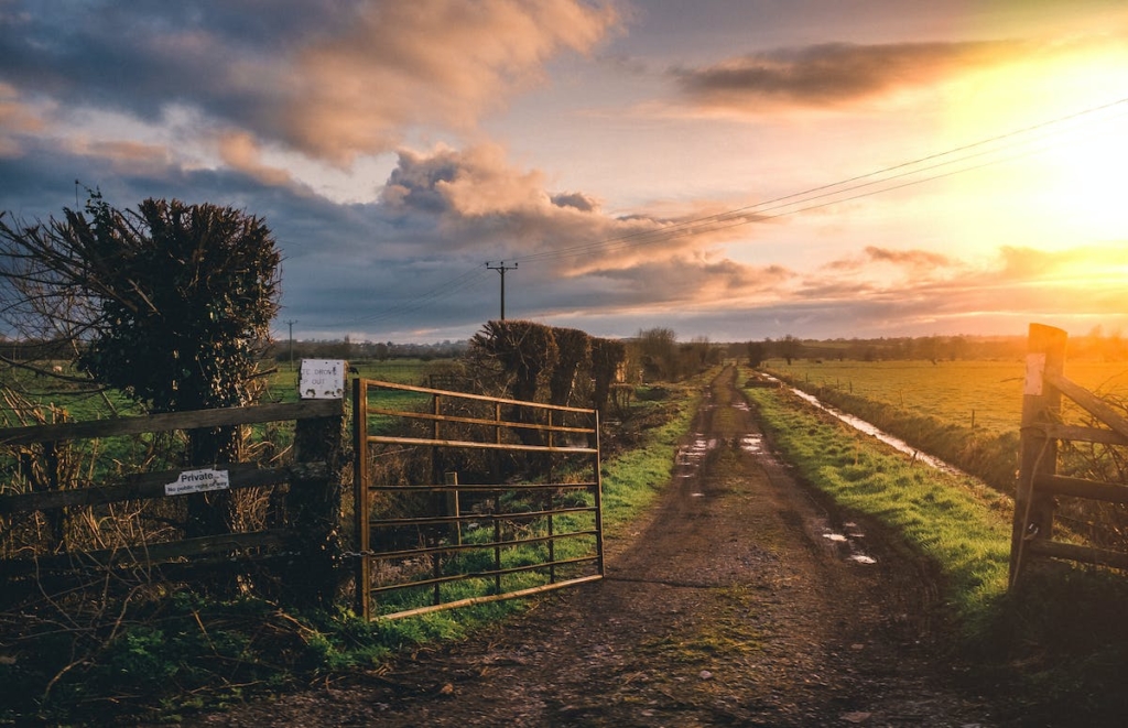 paysage rural