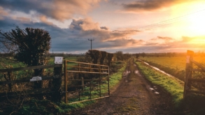Qu’est-ce qu’un bail rural ?