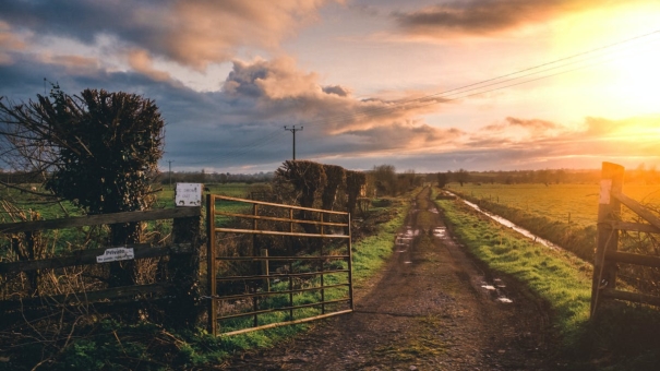 Qu’est-ce qu’un bail rural ?