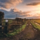 Qu’est-ce qu’un bail rural ?
