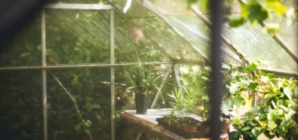 Quels travaux de jardinage faire en été ?