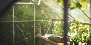 Quels travaux de jardinage faire en été ?