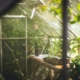 Quels travaux de jardinage faire en été ?