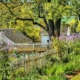 Comment aménager son jardin ?