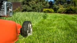 Comment entretenir la pelouse de son jardin?