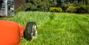 Comment entretenir la pelouse de son jardin?